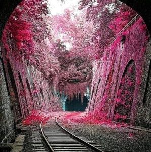 Meet your Posher, Pepper